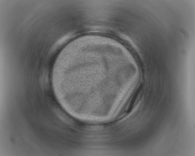 X0000113611403200910161918