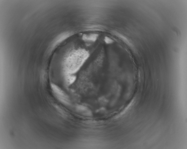 X0000113611405200910161918