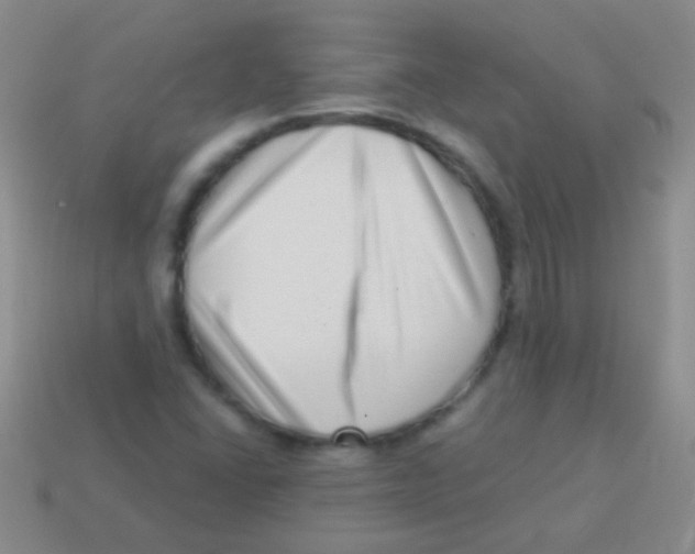 X0000113611406200910161918