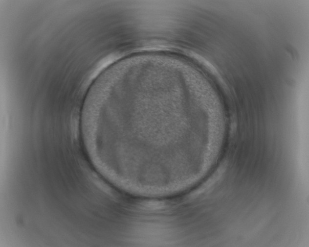 X0000113611409200910161919