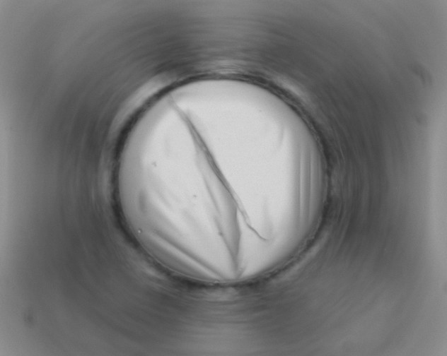 X0000113611410200910161919