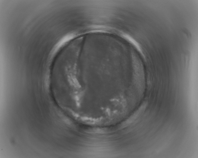 X0000113611411200910161919