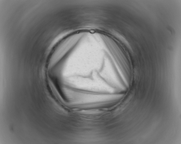 X0000113611412200910161919