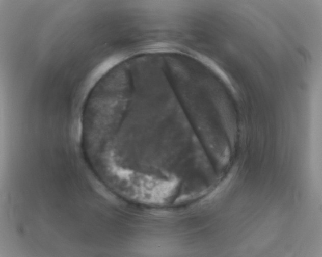 X0000113611413200910161919