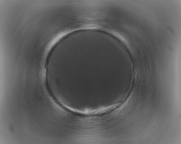 X0000113611414200910161919