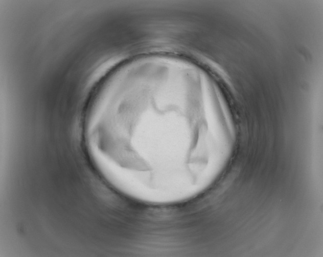 X0000113611415200910161919