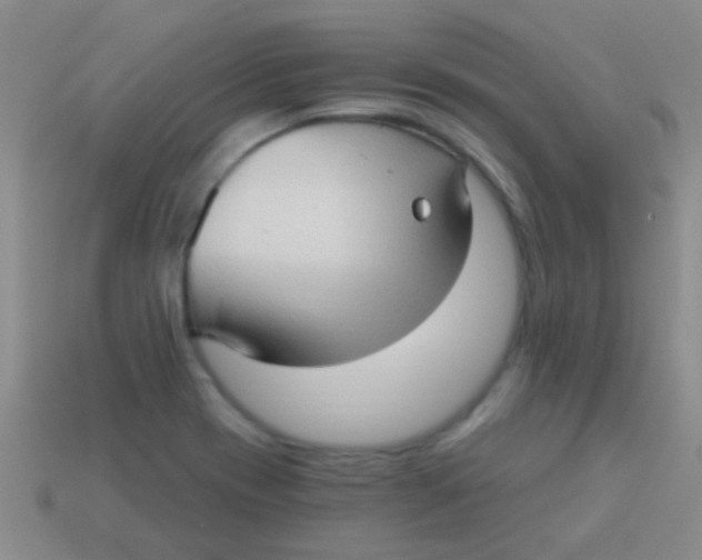 X0000113611417200910161919