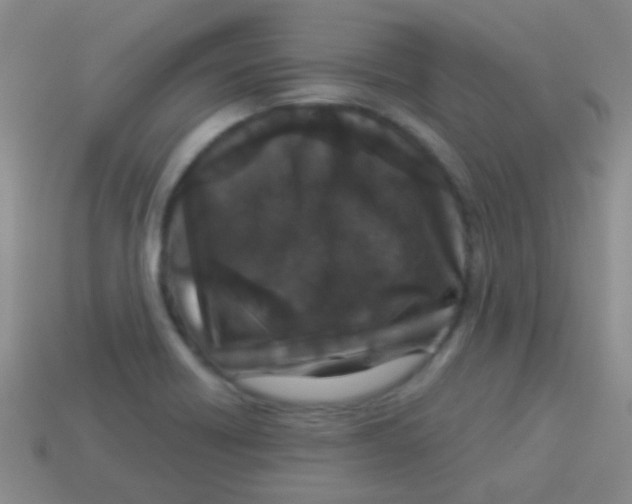 X0000113611418200910161919