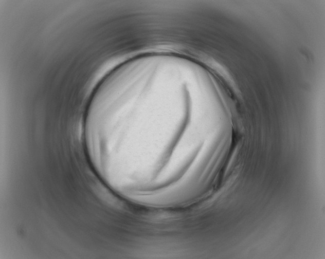 X0000113611420200910161919