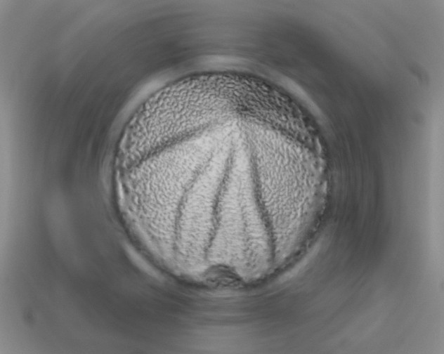 X0000113611421200910161919