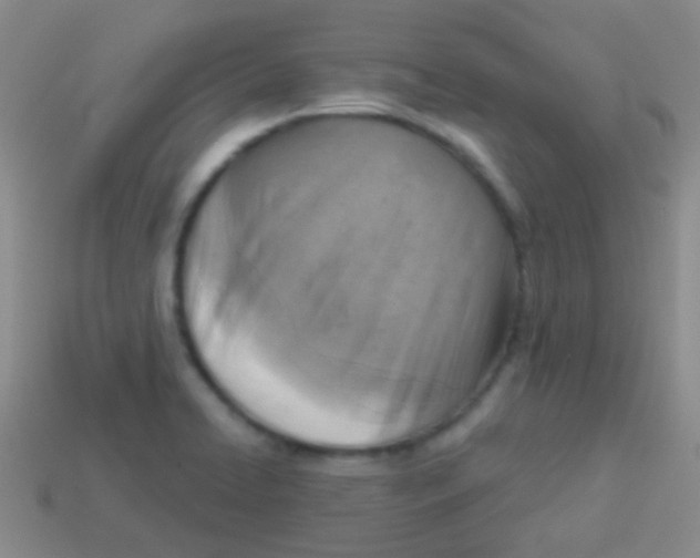 X0000113611422200910161919