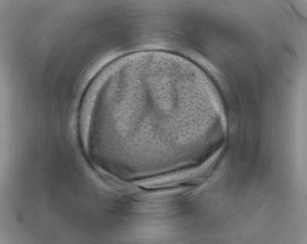 X0000113611423200910161919