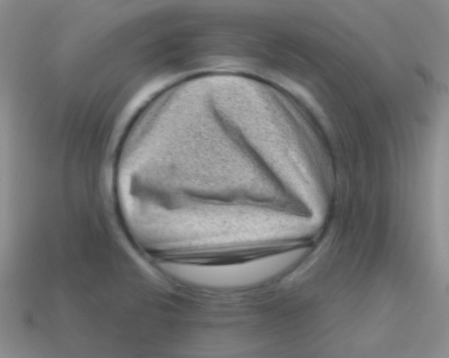 X0000113611424200910161919