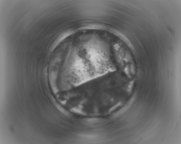 X0000113611425200910161919