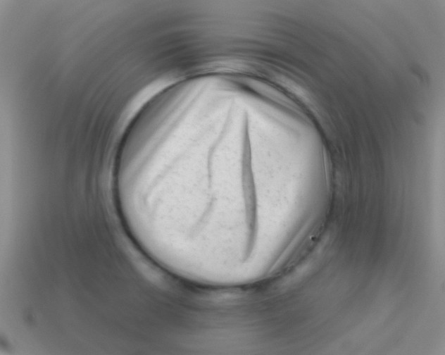 X0000113611426200910161919