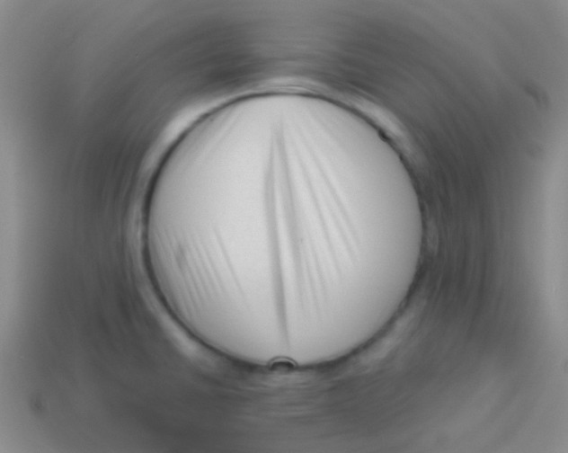 X0000113611430200910161919