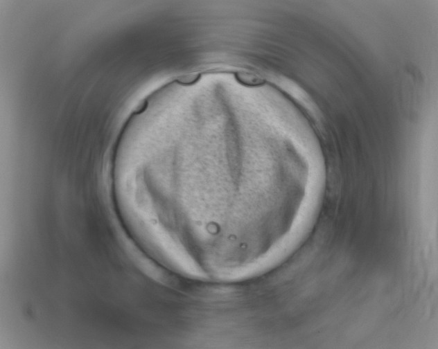 X0000113611431200910161919