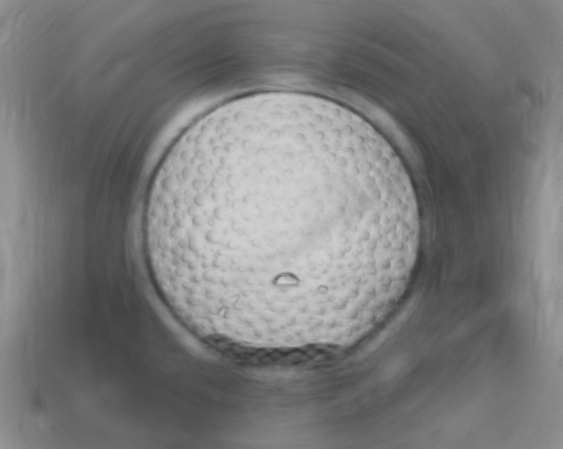 X0000113611432200910161919