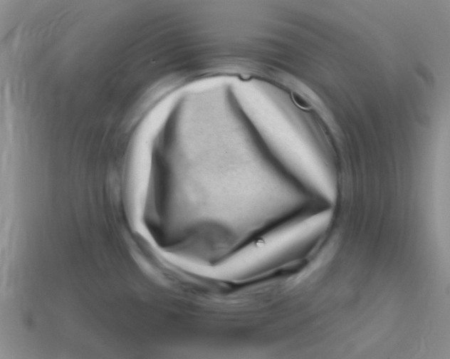 X0000113611433200910161919