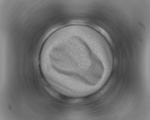 X0000113611435200910161919