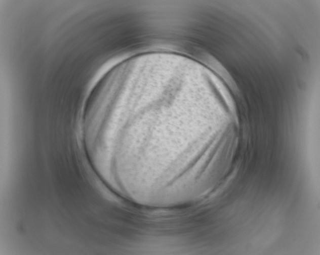 X0000113611436200910161919