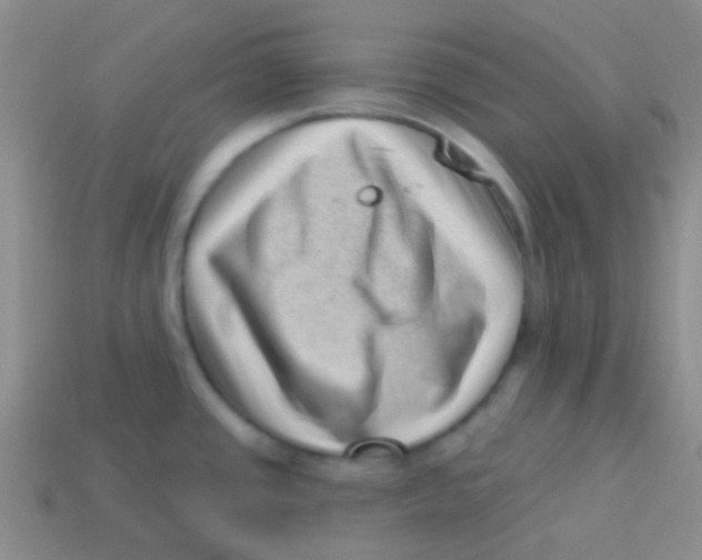 X0000113611437200910161919