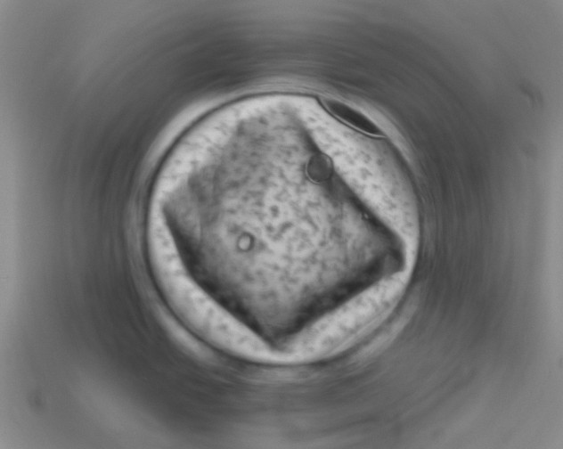 X0000113611438200910161919