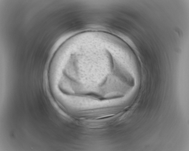 X0000113611440200910161919