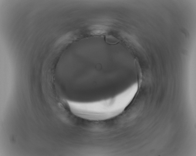 X0000113611441200910161918