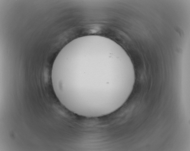 X0000113611442200910161918