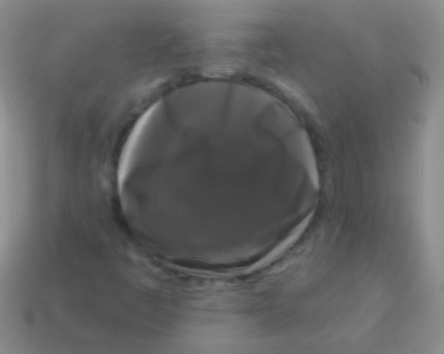 X0000113611445200910161918