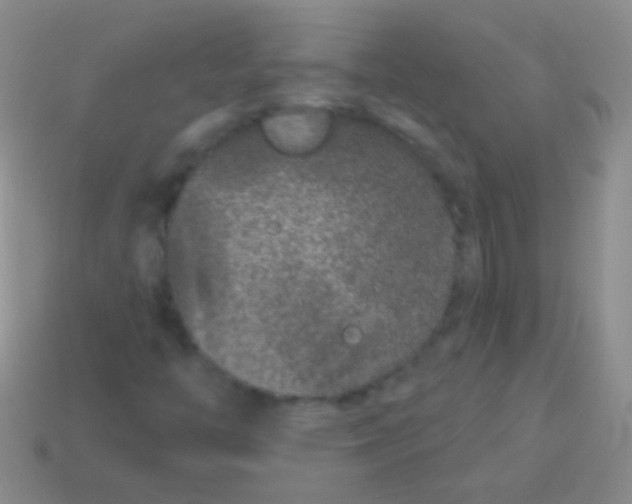 X0000113611446200910161918