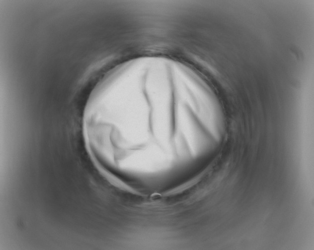 X0000113611447200910161918