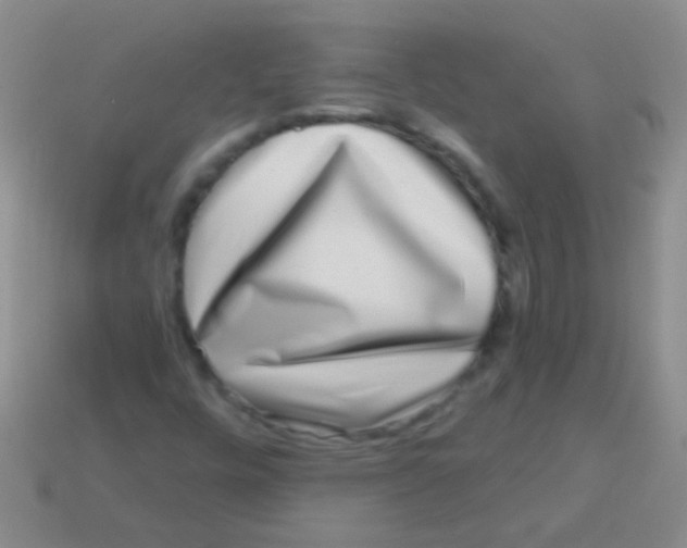 X0000113611448200910161918