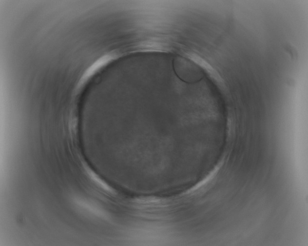 X0000113611450200910161918