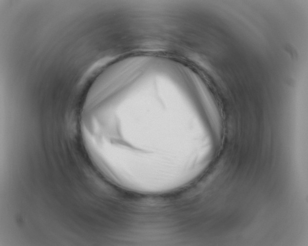 X0000113611451200910161918