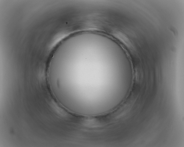 X0000113611452200910161918