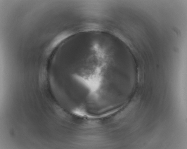 X0000113611453200910161918