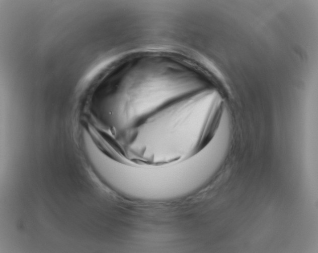 X0000113611456200910161918