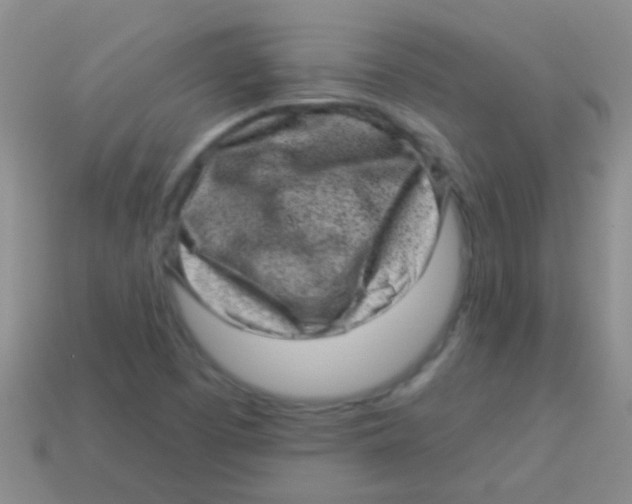 X0000113611457200910161918