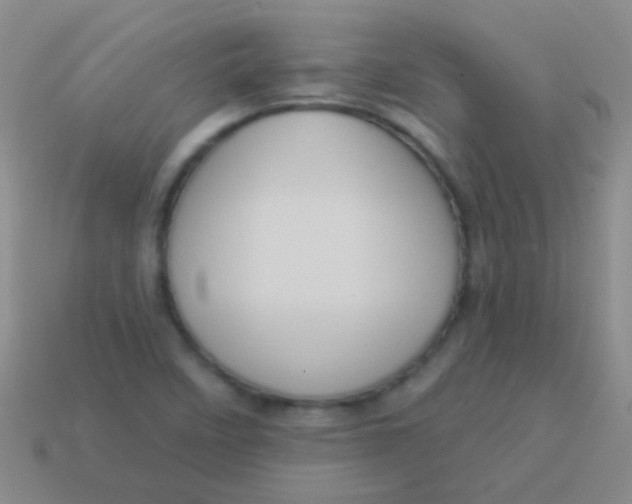 X0000113611458200910161918