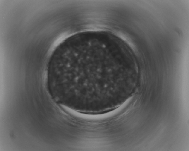 X0000113611459200910161918