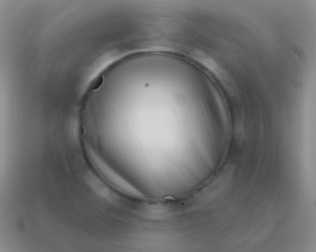 X0000113611460200910161918