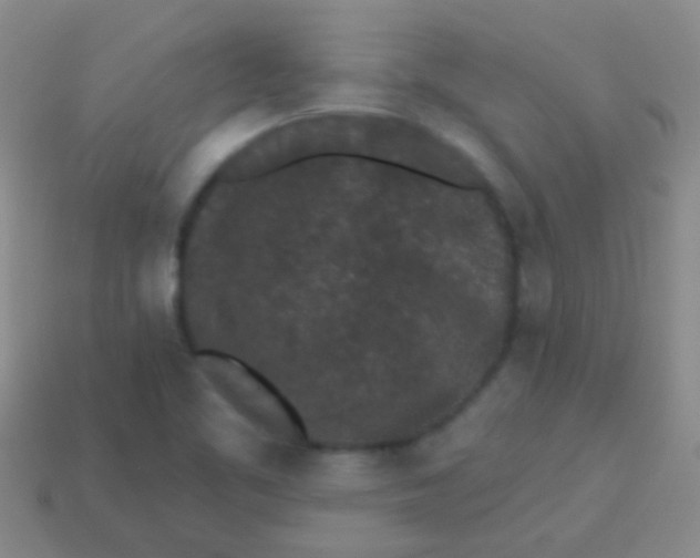 X0000113611461200910161918