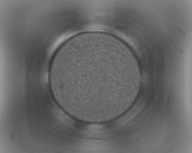 X0000113611462200910161918