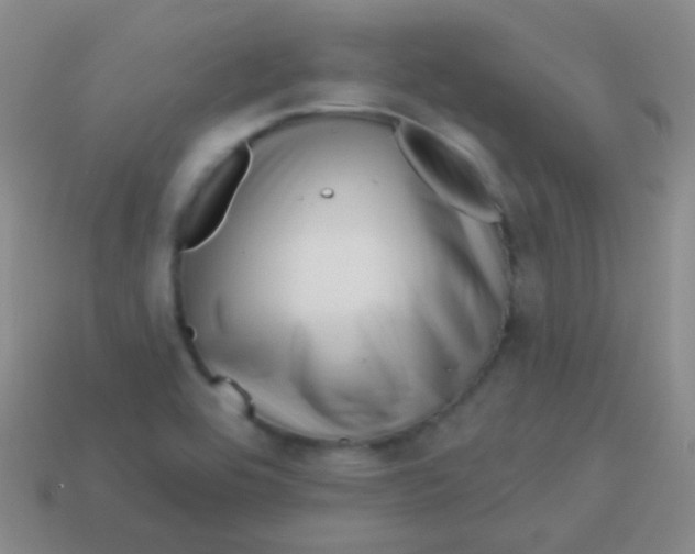 X0000113611464200910161918