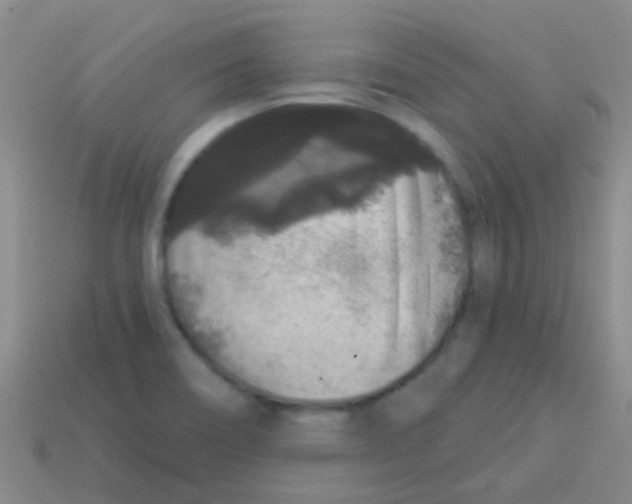 X0000113611466200910161918