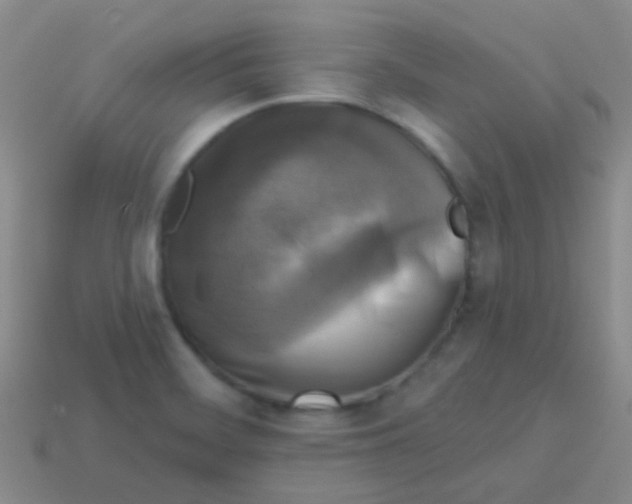 X0000113611468200910161918