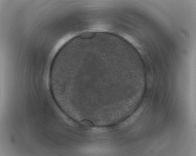 X0000113611469200910161918