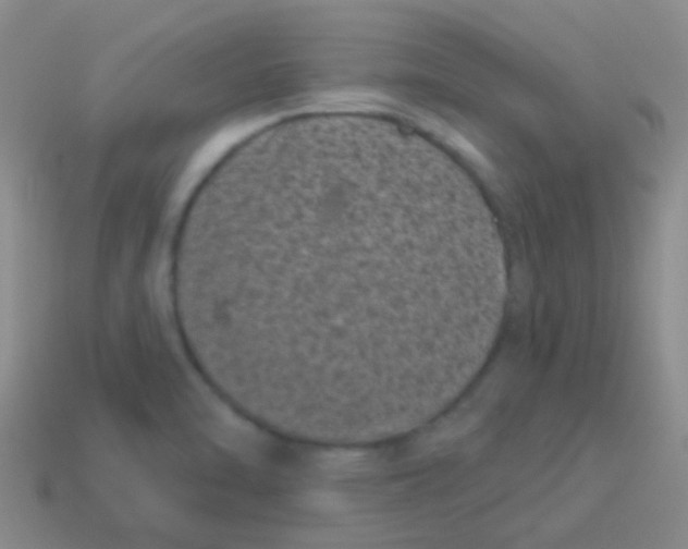 X0000113611470200910161918